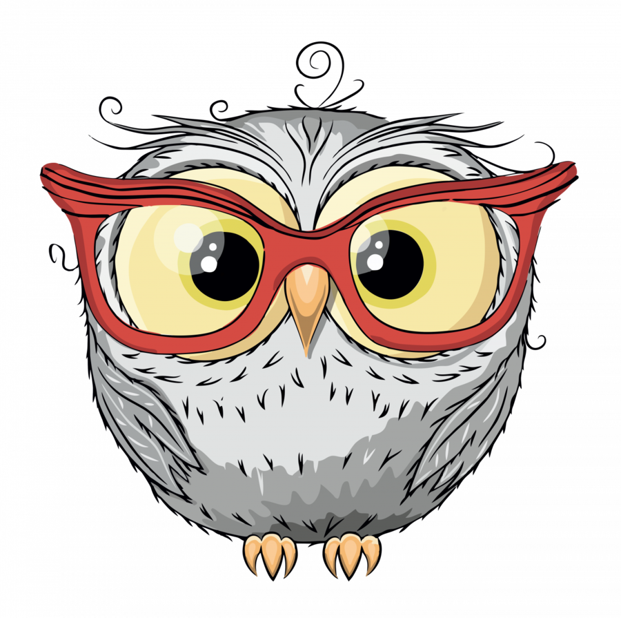 Cute Owls Clipart Owl Drawing - Owl Drawing (900x895)