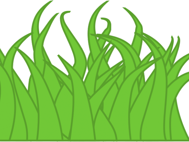 Grass Clipart Boarder - Clipart Grass Drawing (640x480)