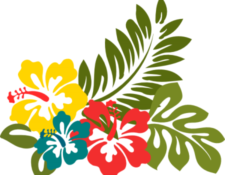 Special Details - Dibujo De Flor Hawaiana (450x350)