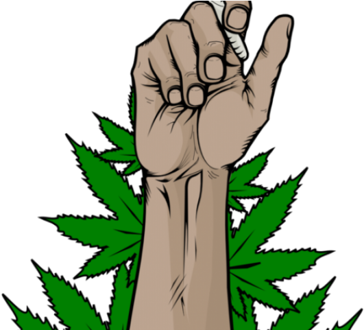 Weed Clipart Grass Root - Marijuana Logo Png (640x480)