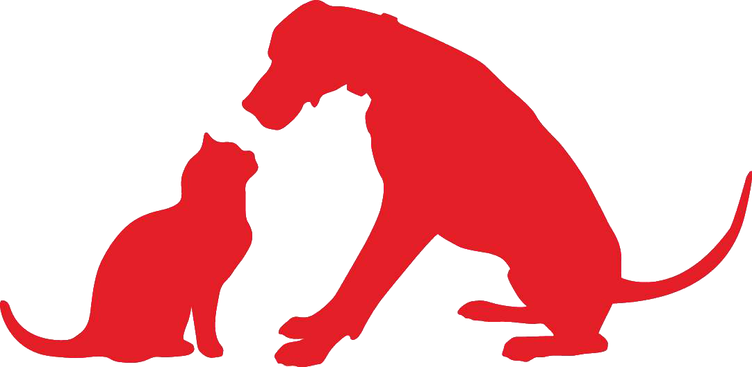 Home - Pet (1082x529)