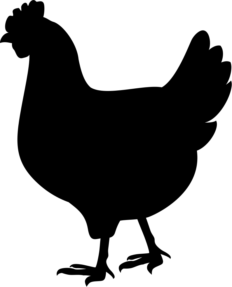 Animals Bird Icon Png Clipart Black And White Library - Hen Vector (795x981)