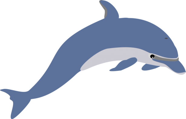 Clipart, Dolphin Clipart Dolphin Clipart Dolphin Clip - Clipart Dolphin (615x395)