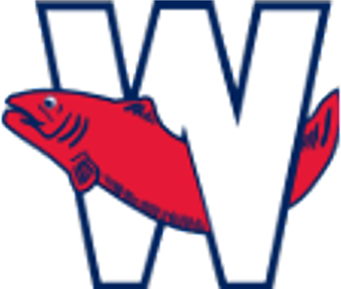 11 - New Westminster Salmonbellies (1162x960)