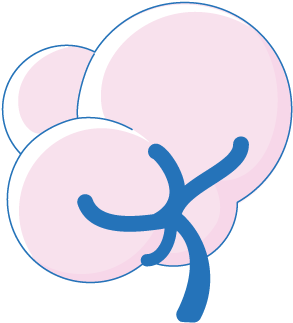 Specialist Sleeping Bags - Sleeping Bag (350x350)