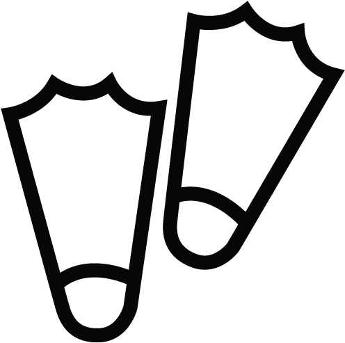 Flippers - Flippers (500x500)