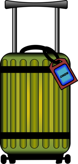 Outdoorsman Webelos Activity Pins Clipart - Maleta Clipart (260x548)