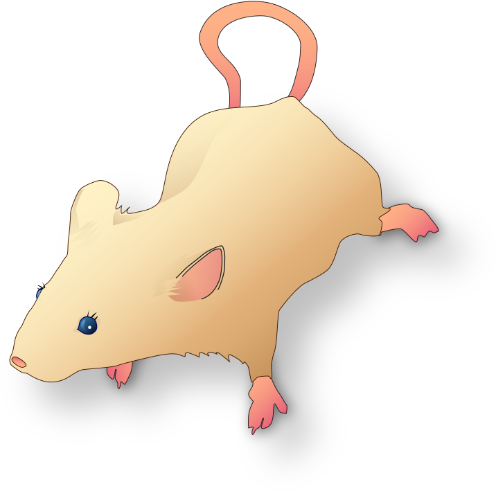 Vectorized Lab Mouse Mg 3263 For Scientific Figures - Thumbnail (819x768)