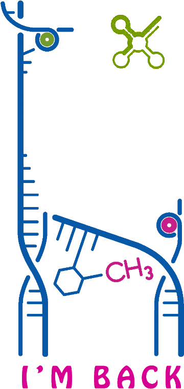 Qi Chen Lab (401x800)