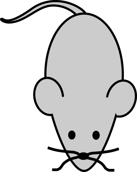 Easy Drawings Of A Mouse (480x600)