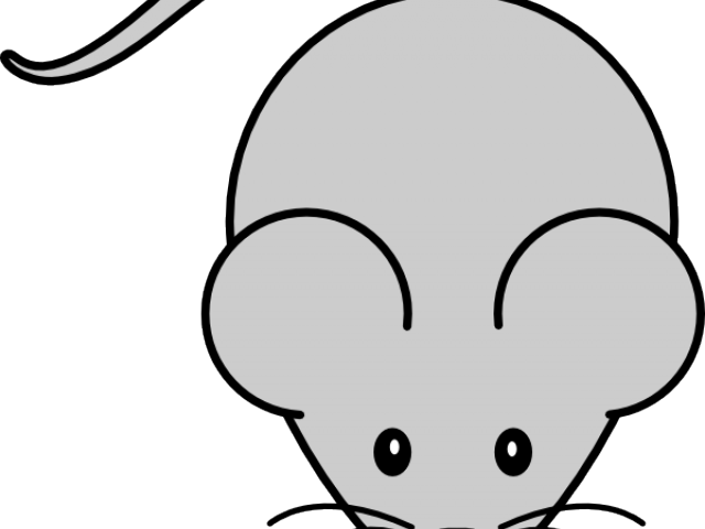 Mice Clipart Laboratory - Cute Mice Coloring Pages (640x480)
