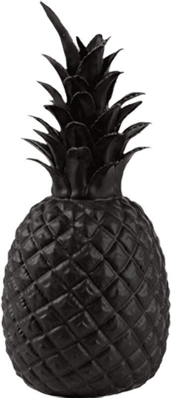 “pineapple” - Black Pineapple (800x800)