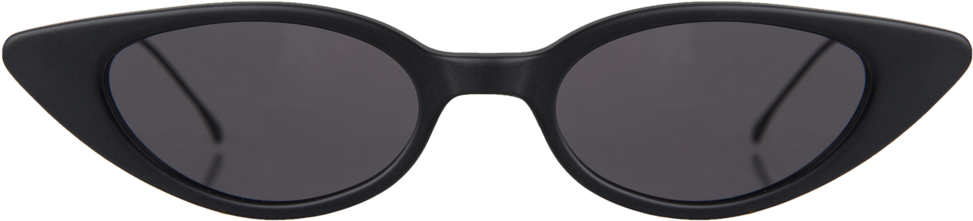 Ray Ban Erika Black Metal (1023x614)
