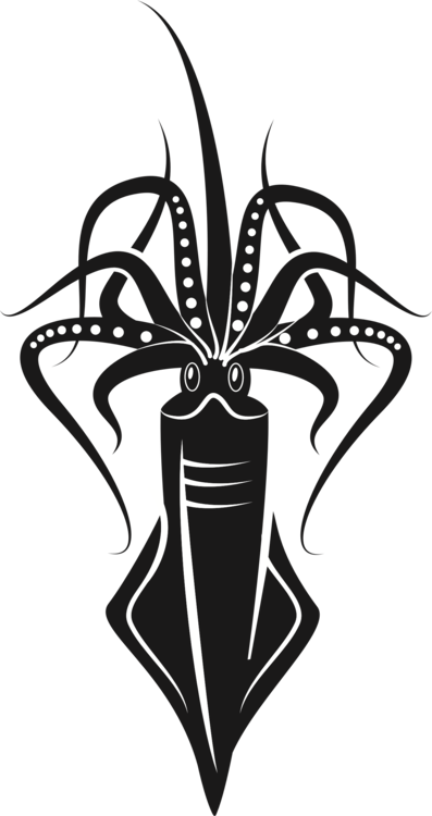 All Photo Png Clipart - All Photo Png Clipart (397x750)
