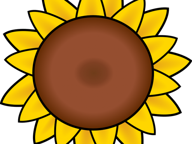 Petal Clipart Sun Flower - Sunflower Clipart (640x480)