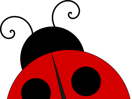 Long Division With Remainders As Fractions Year 5 And - Ladybug Cute (539x404)