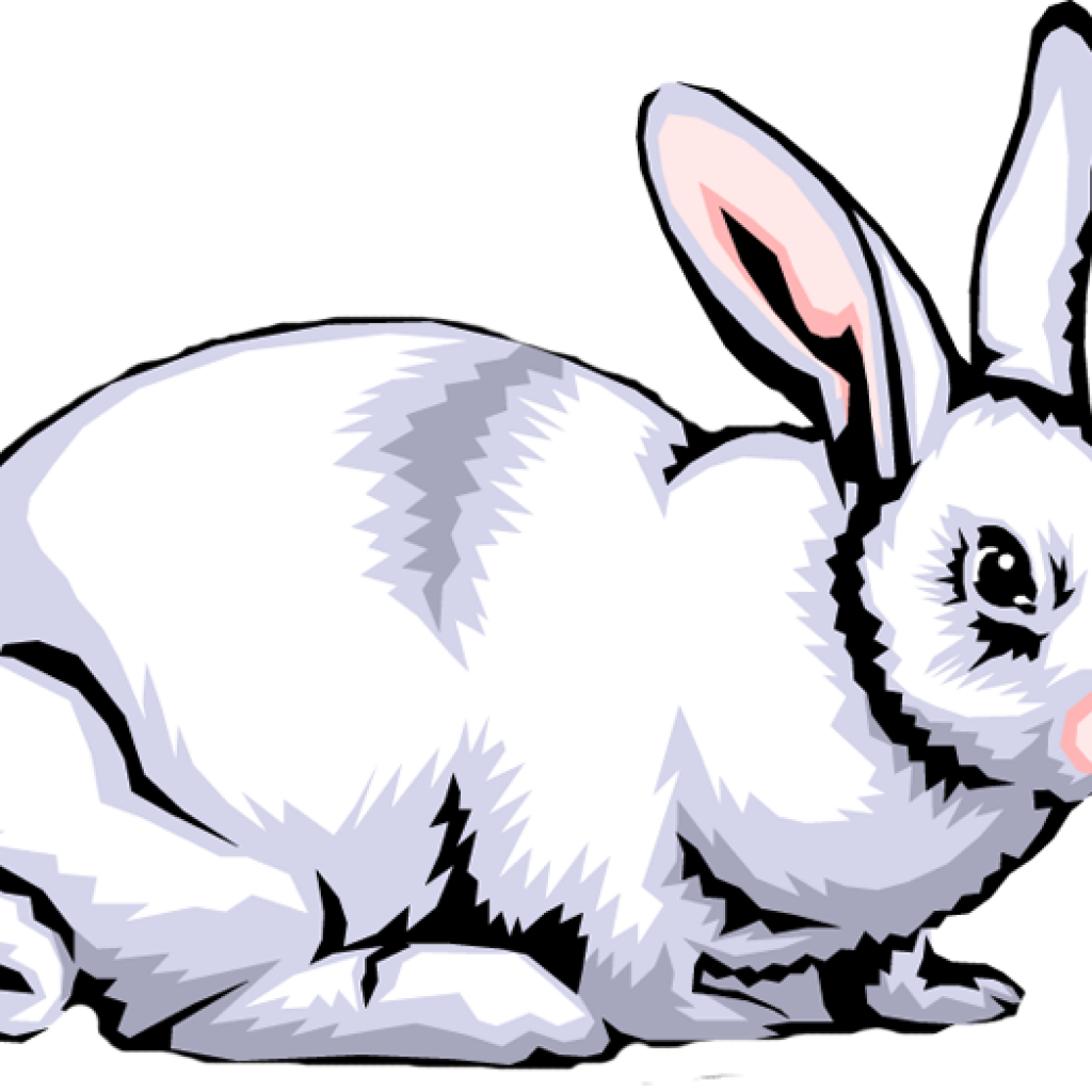 Rabbit Clipart Free Rabbit Clip Art Images Clipart - White Rabbit (1024x1024)