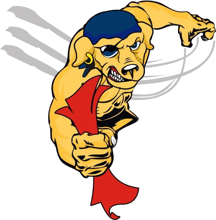 Seacoast Youth Flag Football (768x768)