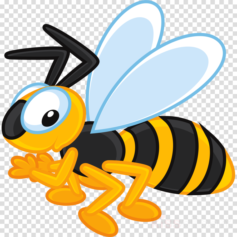 Download Пчелка Рисунок Для Детей Clipart Western Honey - Пчелка На Прозрачном Фоне (900x900)