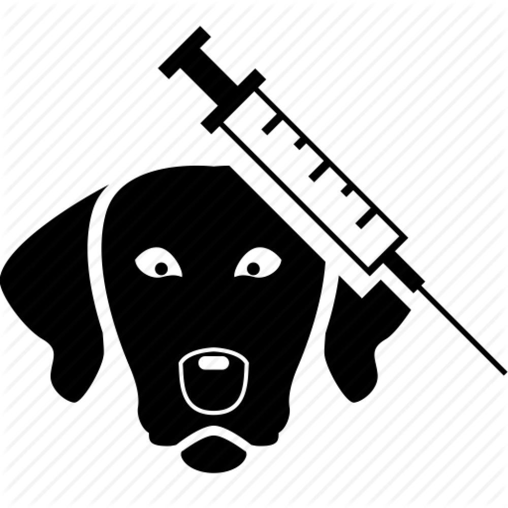Tanker Clipart Tank Truck Clip Art - Gasoline (1000x1000)