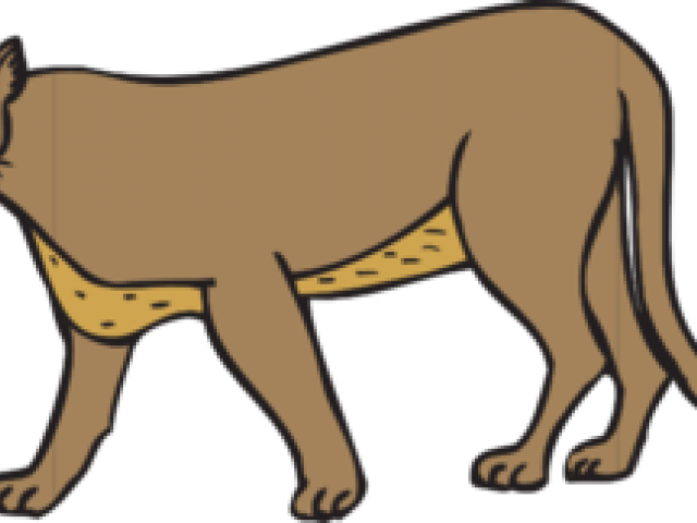 Cougar Clipart Jumping - Clip Art (640x480)