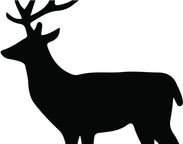 Stag Clipart Doe - Free Deer Silhouette (640x480)