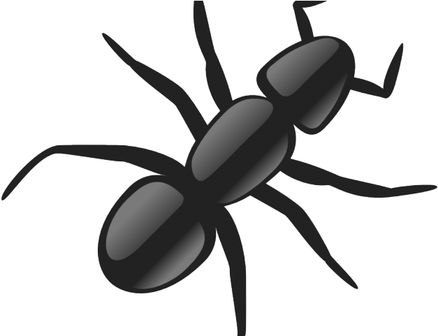 Ant Clipart Elephant - Black Ant Clipart Png (640x480)