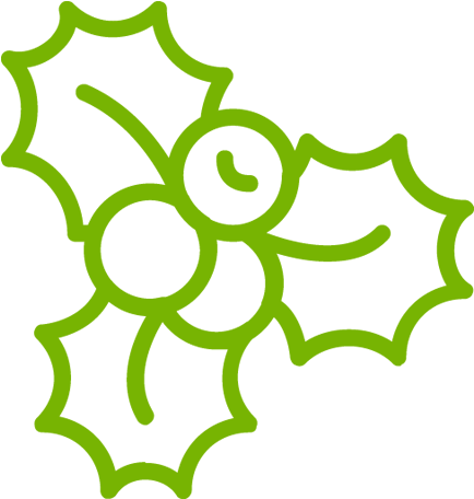 Decorations - Mistletoe Icon Black And White (500x500)