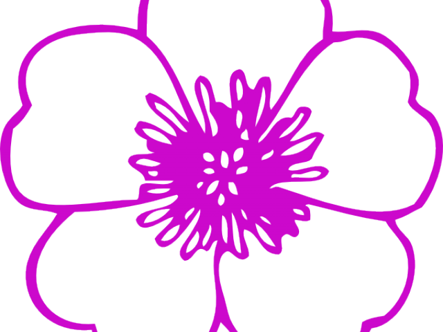 Pink Flower Clipart 2 Flower - Outline Of A Poppy (640x480)