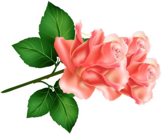 Clip Art - Imagenes De Colibries Con Rosas (600x476)