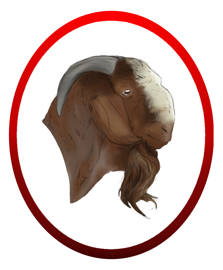 Boer Logo Animal Kid - Boer Goat Logo (901x1090)
