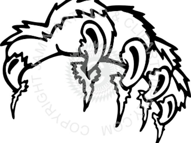 Tiger Paw With Claws (640x480)