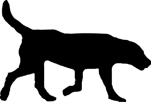 Adopt Zero Stray Pawject - Adopt Zero Stray Pawject (489x333)