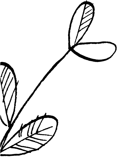 Booking For A Group Or After Something Specific - Booking For A Group Or After Something Specific (410x601)