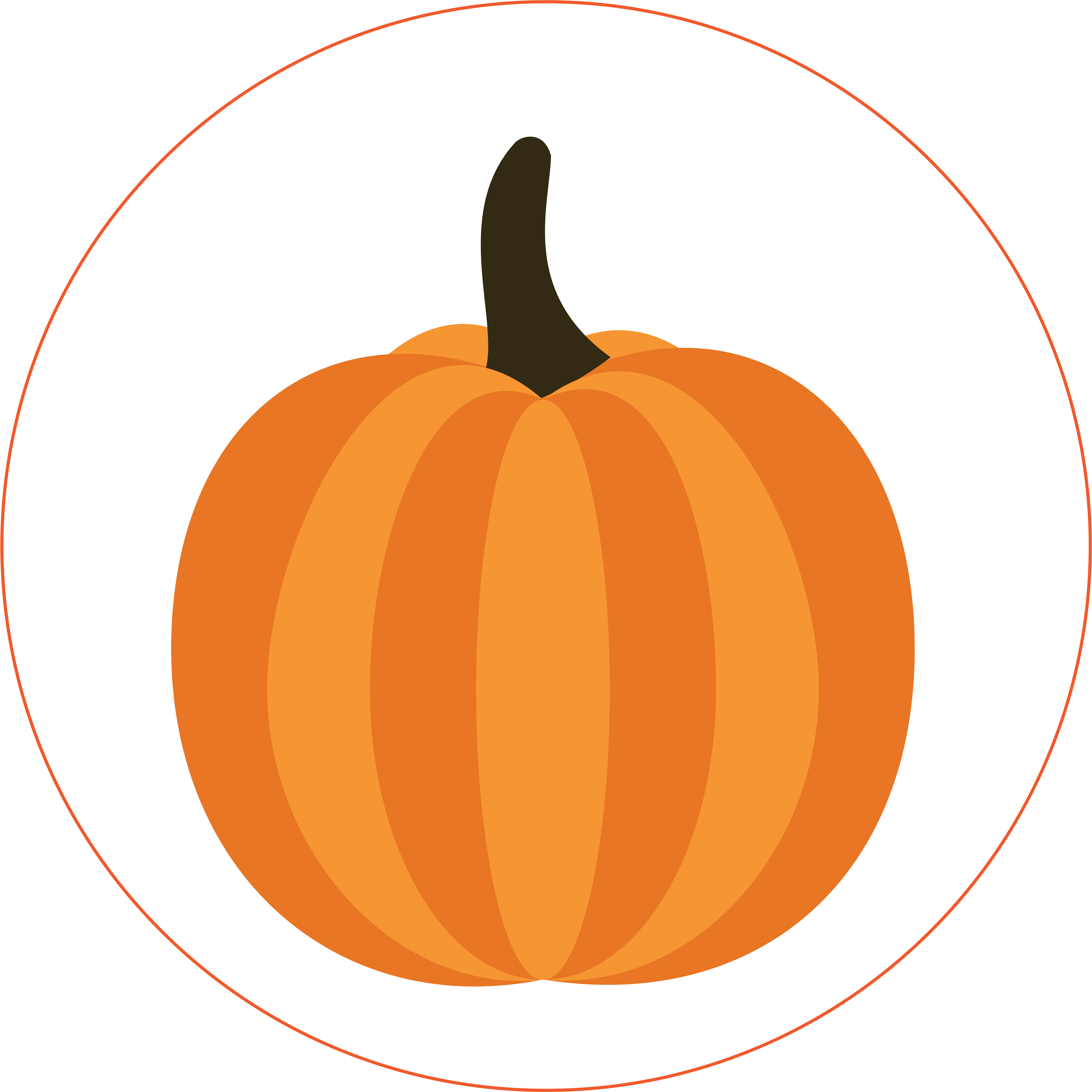 The Farmstead Corn Maze & Pumpkin Festival Meridian - Pumpkin (6000x6000)