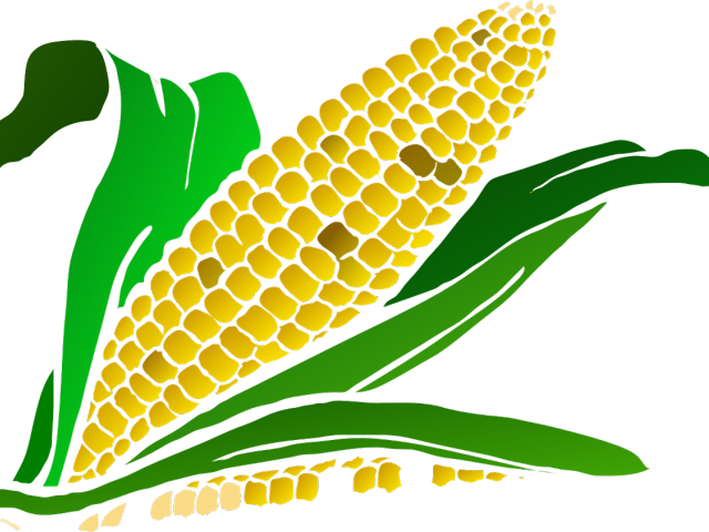 Corn Clipart Corn Food - Corn Clipart Png (640x480)