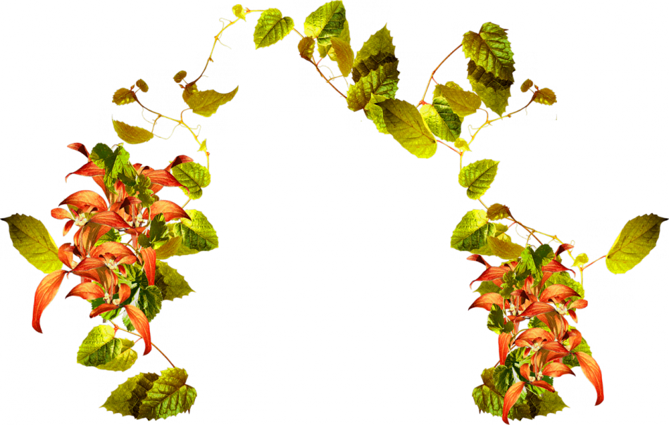 Related Wallpapers - Tube A Image Automne (950x604)