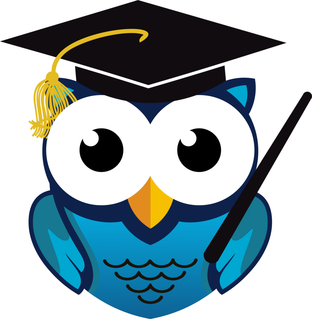 Graduation Clipart Owl - Graduation Owl Png (1000x1025)