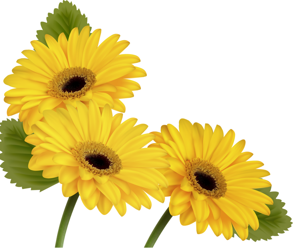 Фото, Автор Soloveika На Яндекс - Butterfly On A Flower Clipart (1024x868)