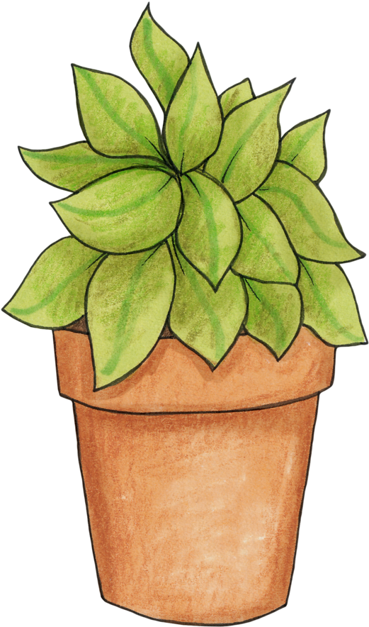 Potted Plant - Pot Plant Clip Art (530x900)
