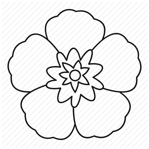 Rose Of Sharon Outline Clipart Common Hibiscus Clip - South Korean National Flower Drawing (512x512)