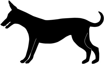 All Photo Png Clipart - Town Musicians Of Bremen (530x750)