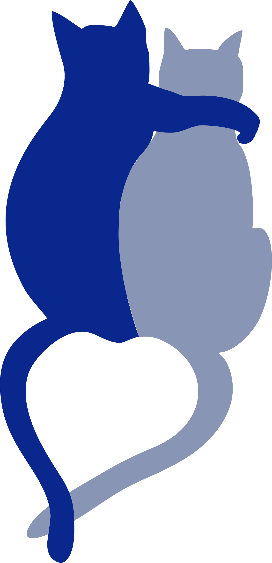 All Photo Png Clipart - Cat (1125x2325)