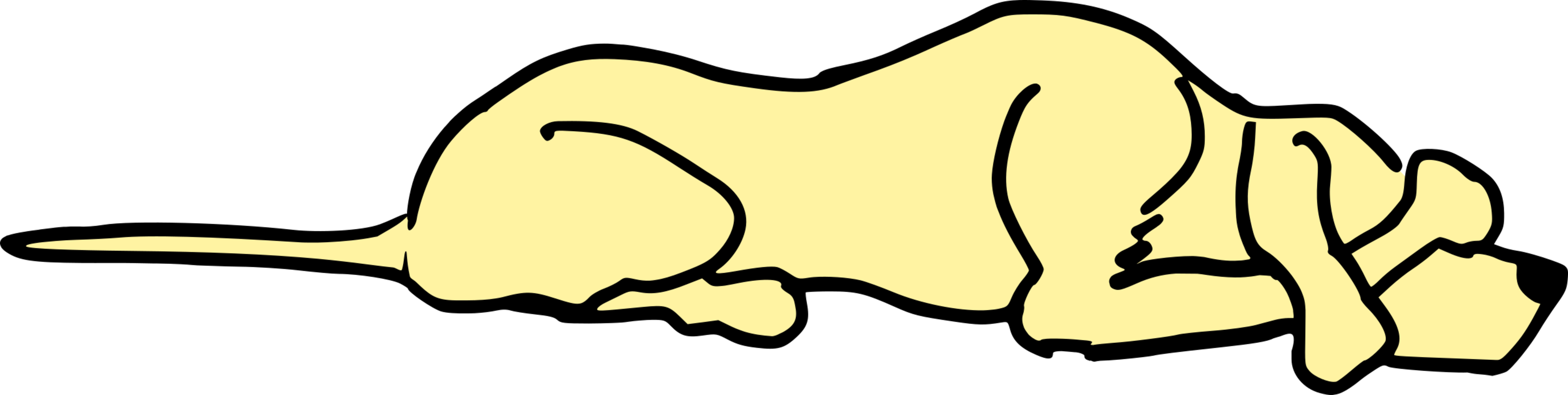 All Photo Png Clipart - Clip Art (2975x750)