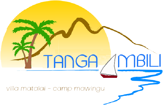 Tanga Mbili Ltd - Brothers Of Brazil - Brothers Of Brazil [cd] (669x440)