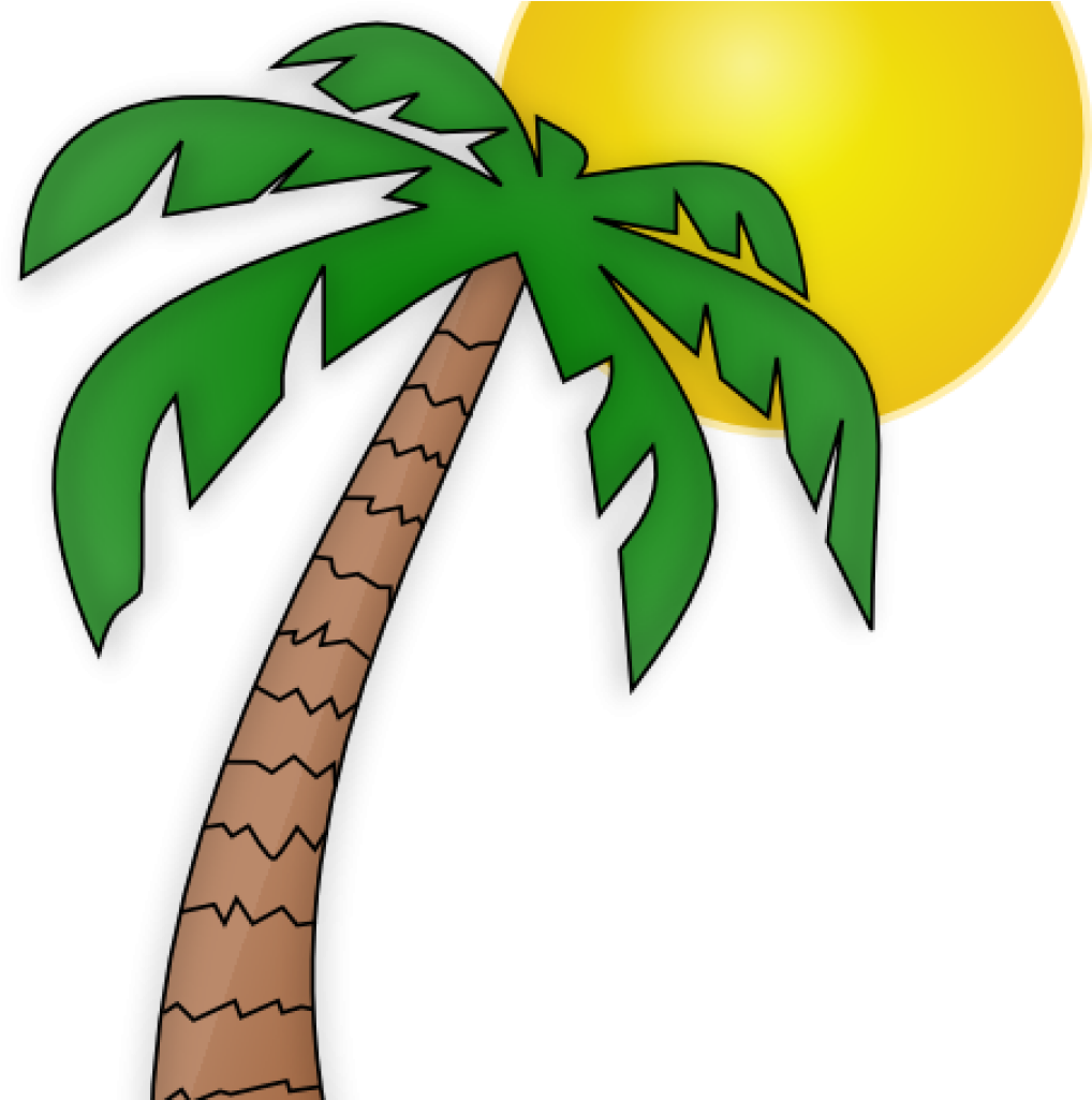 Palm Tree Clip Art Free Palm Tree Clip Art Transparent - Cartoon Palm Tree With A Coconut (1024x1024)