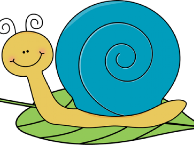 Mollusc Clipart Veterans Day - Clip Art (640x480)