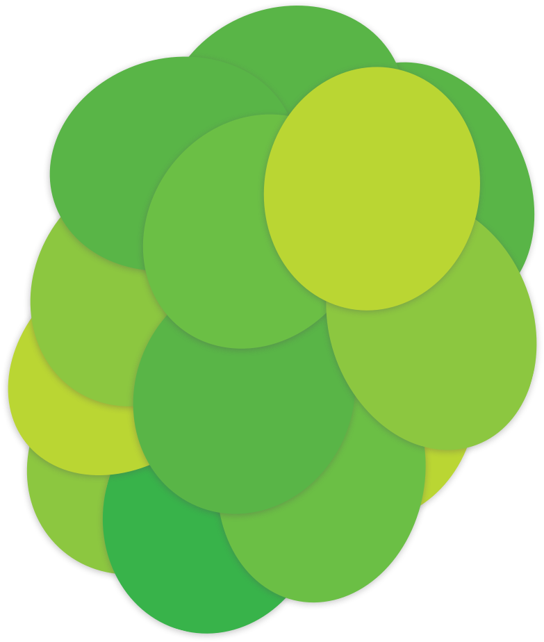 Bright Vines Grape The Crispy Crunchy Grape - Grape (783x924)