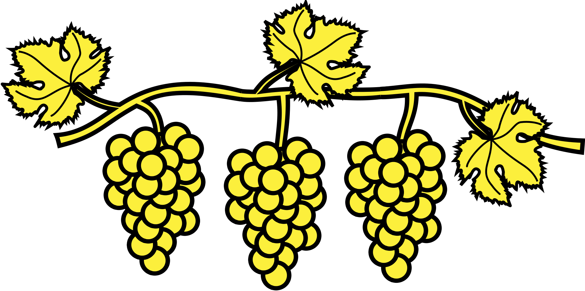 Vines Svg Grape - Dessin Branche De Vigne (2000x995)