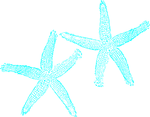 Starfish Clip Art Outline Clipart Panda Free Clipart - Teal Starfish (600x468)
